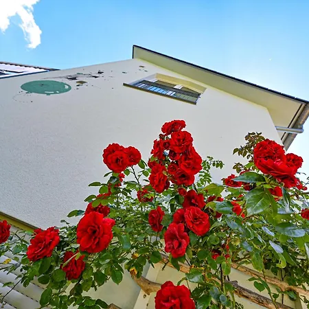 Bergblick 7 6 Og Mit Balkon アパート *
