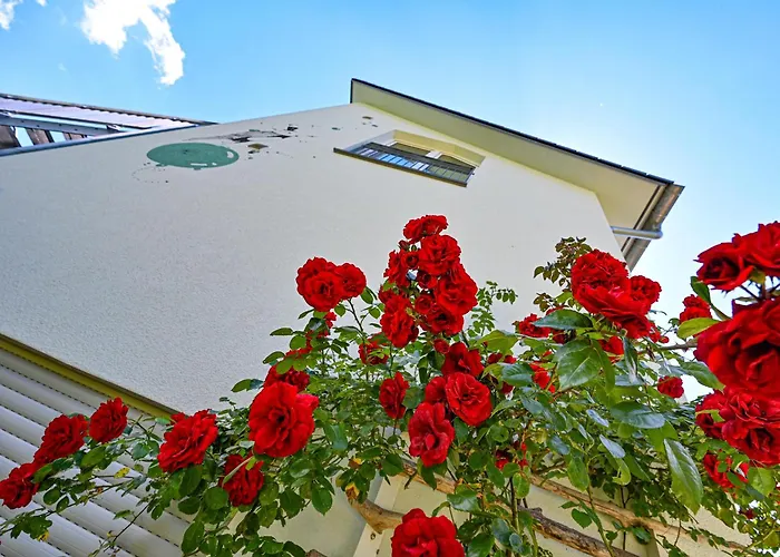 Bergblick 7 6 Og Mit Balkon Appartement *